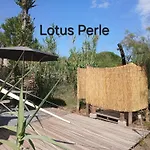 Le Jeklo Виас